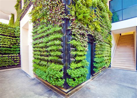 The Art of Landscaping: Creating Beautiful Spell of Greenery in Residential Areas
